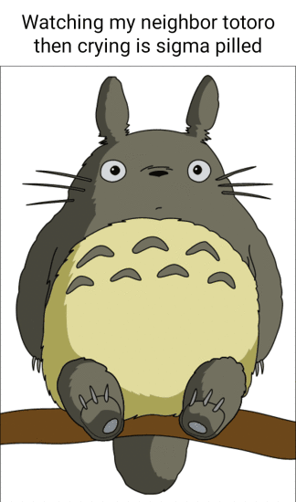 My Neighbor Totoro memes memes. The best memes on iFunny