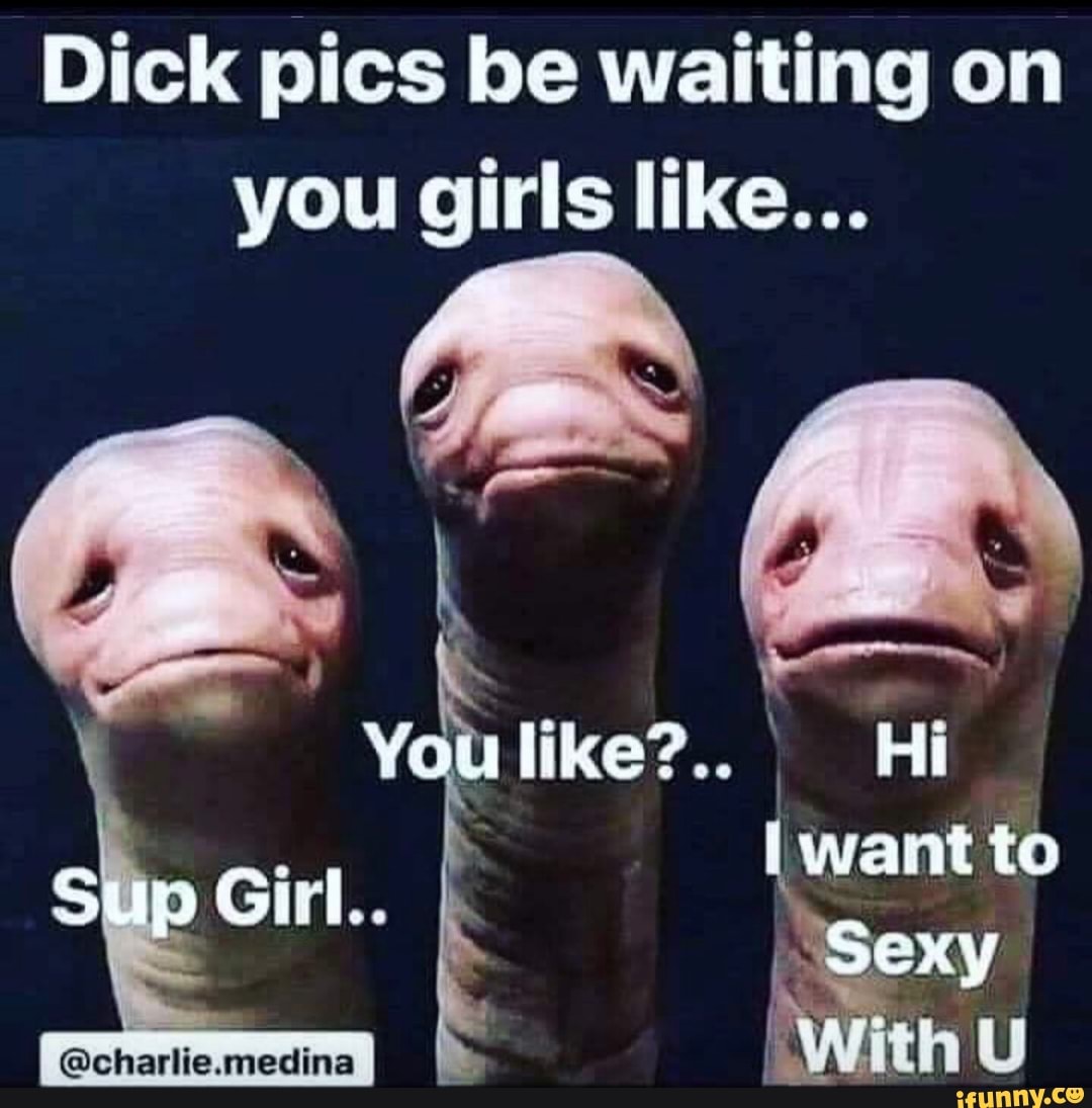 Funny pics for a dick head