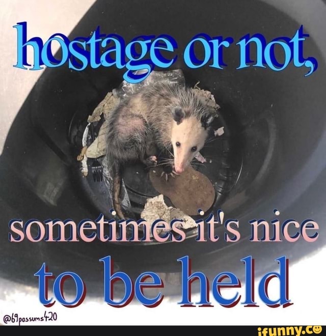 Stage or not
nice