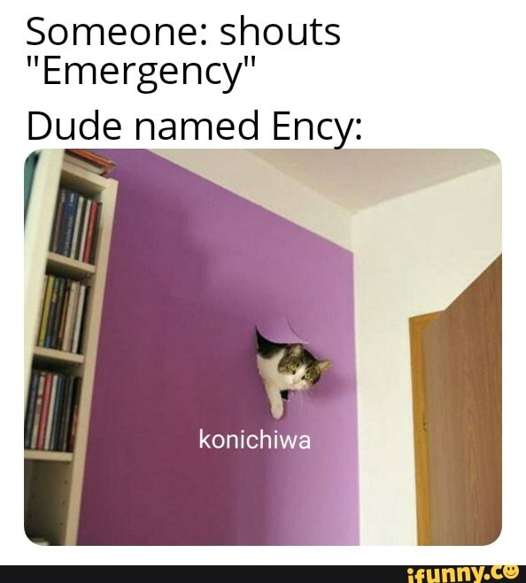 Someone: shouts
"Emergency"
Dude named Ency:
konichiwa