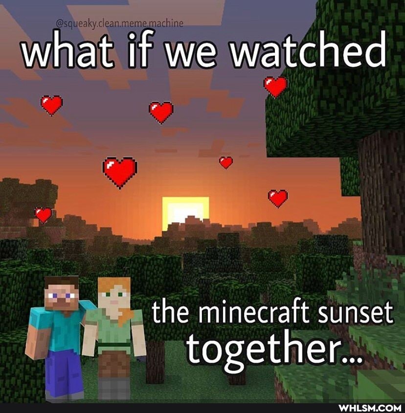 what if we watched
the minecraft sunset together...