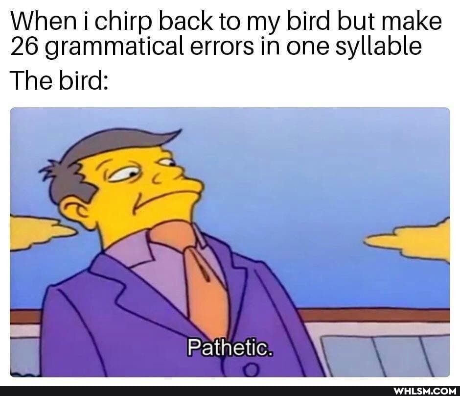 When i chirp back to my bird but make
26 grammatical errors in one syllable
The bird:
Ta
Pathetic: