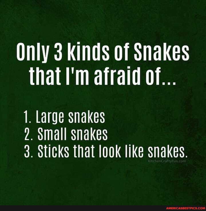 Only 3 Kinds of Snakes that I'm afraid of...
1. Large snakes
2. small snakes
3. Sticks that look like snakes.