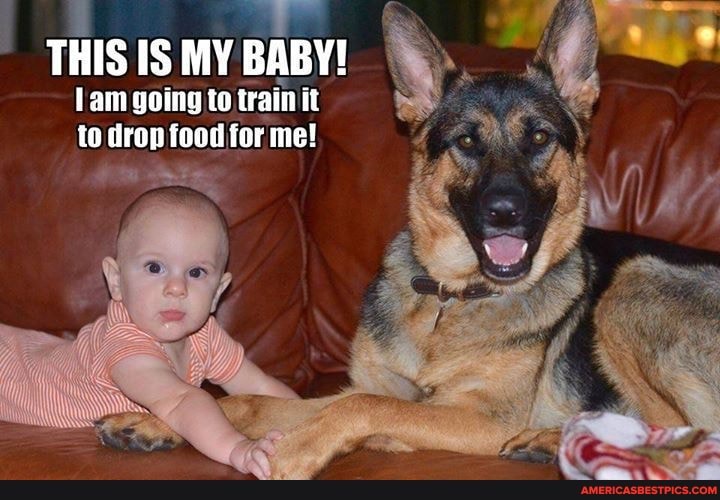 THIS IS MY BABY!
Lam going to train it to drop food for me!