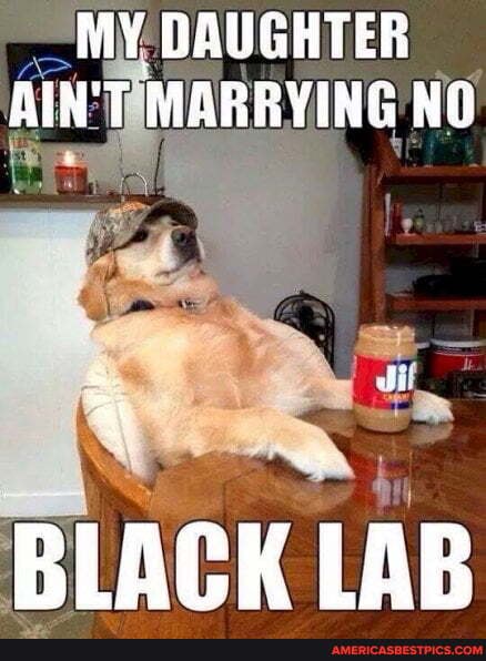 MY DAUGHTER AIN'T MARRYING NO
BLACK LAB