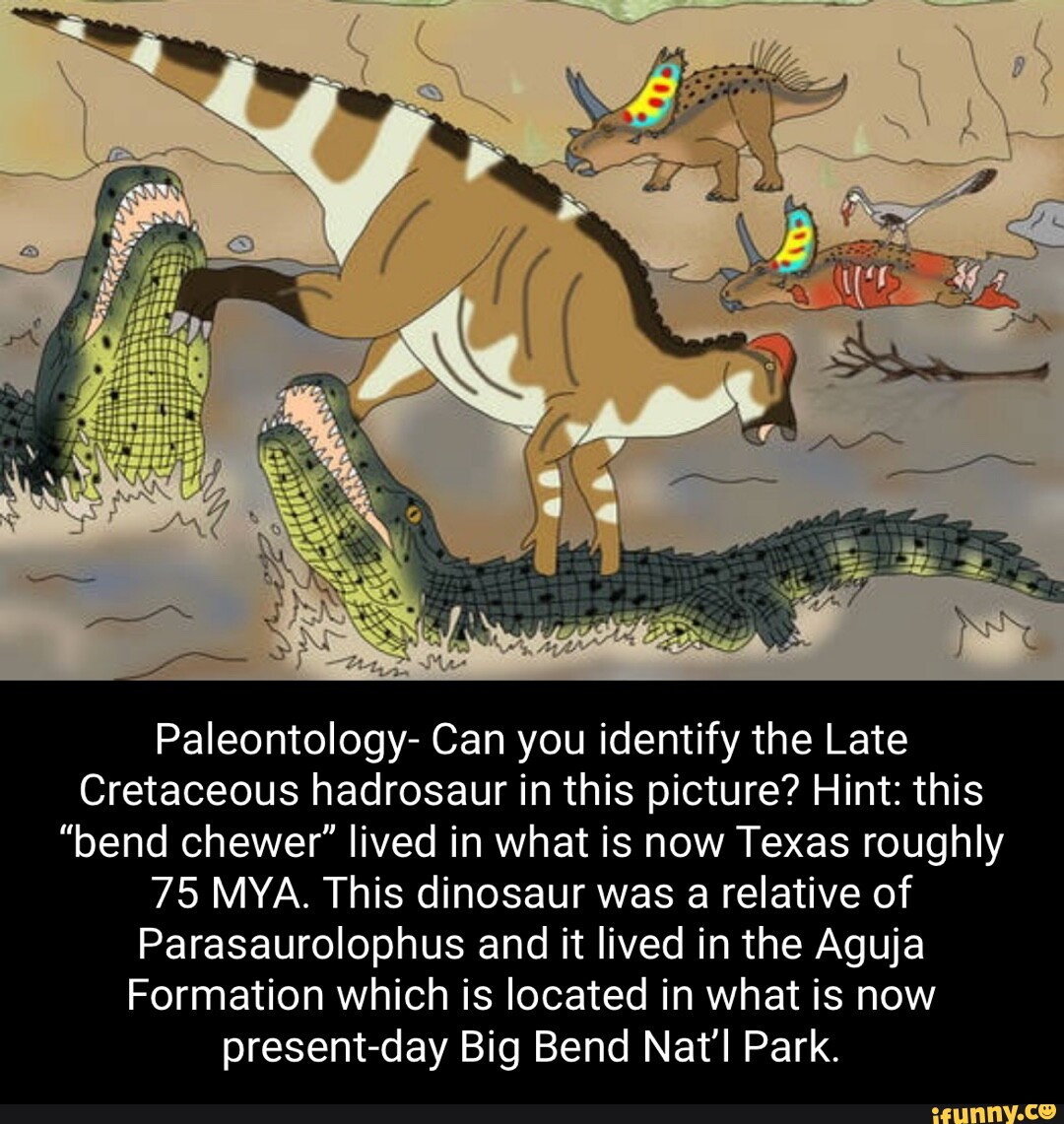 We Paleontology- Can you identify the Late Cretaceous hadrosaur in this ...