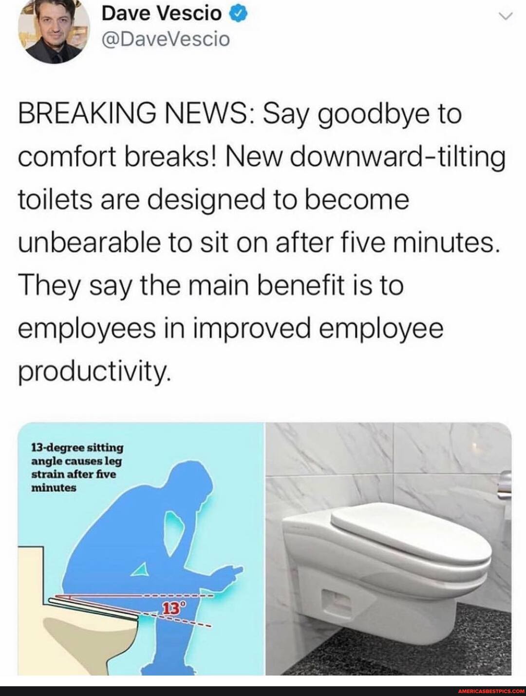 BREAKING NEWS: Say goodbye to comfort breaks! New downward-tilting toilets are designed to become unbearable to sit on after five minutes.
They say the main benefit is to employees in improved employee productivity.