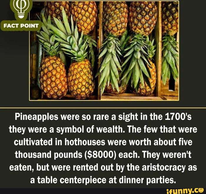 FACT POINT Pineapples were so rare a sight in the 1700's they were a symbol of wealth. The few