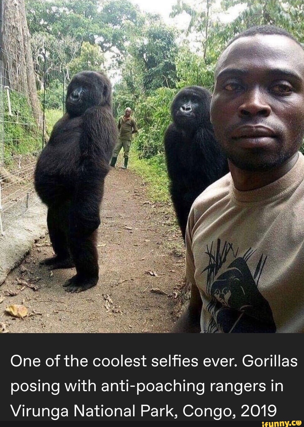 Congo memes. Best Collection of funny Congo pictures on iFunny