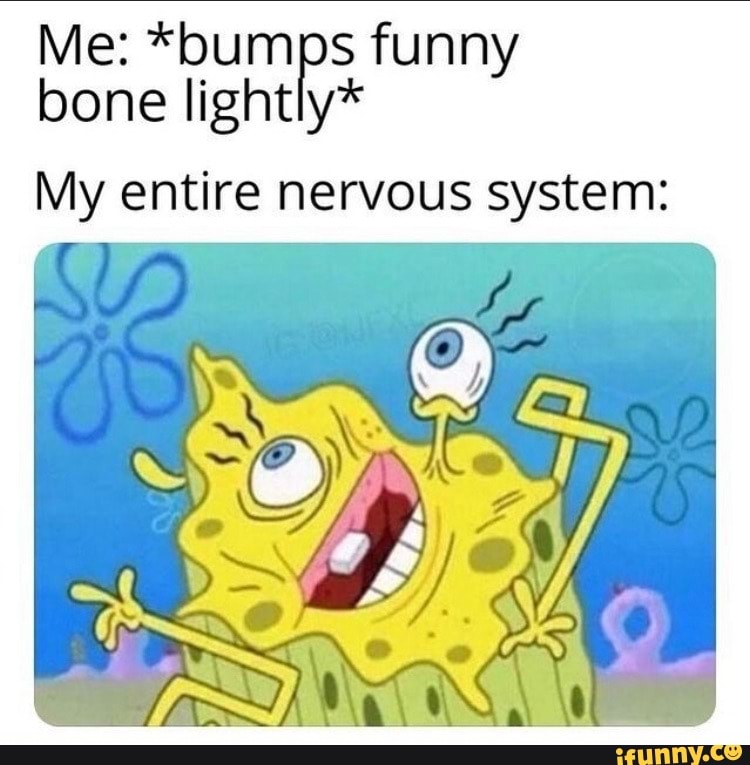 Me: *bumps funny
bone lightly*
My entire nervous system: