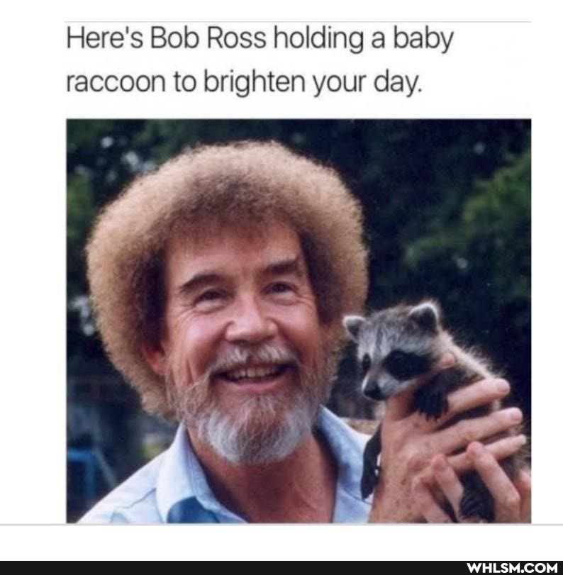 Here's Bob Ross holding a baby raccoon to brighten your day.