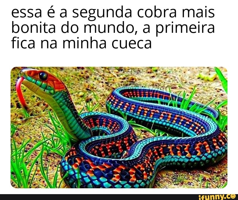 bra ma a primei gunda co fica na minha cueca
gunda co mundo,
essa éase bonita do fica na mi