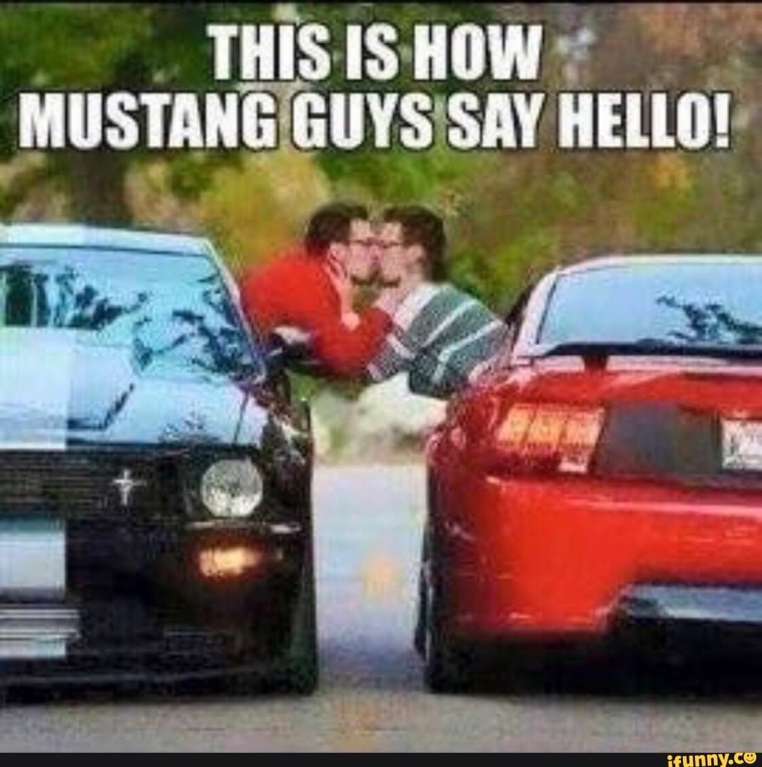 Mustang guysisay hello! 