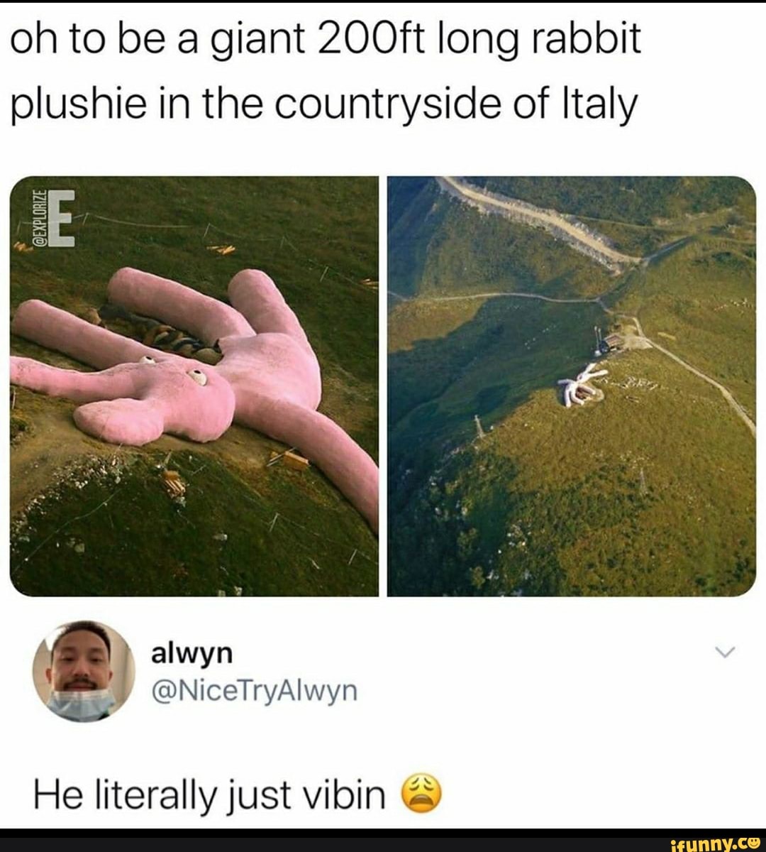 oh to be a giant 200ft long rabbit
plushie in the countryside of Italy
He literally just vibin