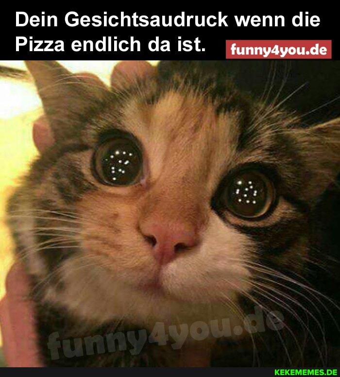 Dein Gesichtsaudruck wenn die
Pizza endlich da ist. zunnyayou.de
