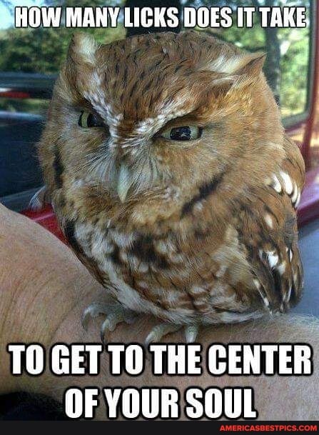 HOW MANY LICKS DOES IT TAKE.
TO GET THE GENTER OF YOUR SOUL