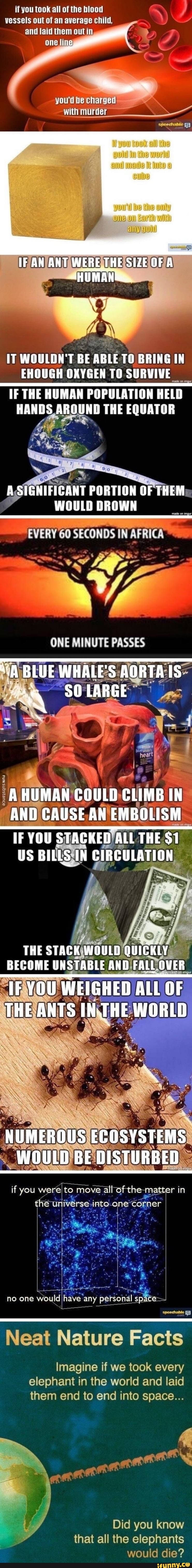 if you took all of the blood vessels out of an average child, and laid them outi
IT WOULDN'T BE ABLE BRING IN EHOUGH OXYGEN TO SURVIVE
IF THE HUMAN POPULATION HELD HANDS AROUND THE EQUATOR
A SIGNIFICANT PORTION OF THEM:
WOULD DROWN
60 SECONDS IN AFRICA
ONE MINUTE PASSES BLUE WHALES AQRTA: Is=
couLD cit
THE BECOME UNSTABLE ANDFA ALL OVER
IRYOU WEIGHED ALL THE IN, THE
if you move all Of the -matter i in theur Vverse-into-one'c corner
Neat Nature Facts
Imagine if we took every elephant in the world and laid them end to end into space...
Did you know that all the elephants would die?