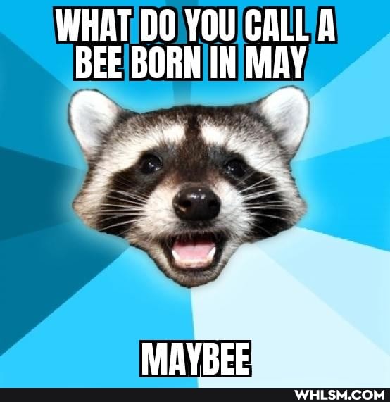 WHAT DO YOU CALL A BEE BORN IN MAY
MAYBFE