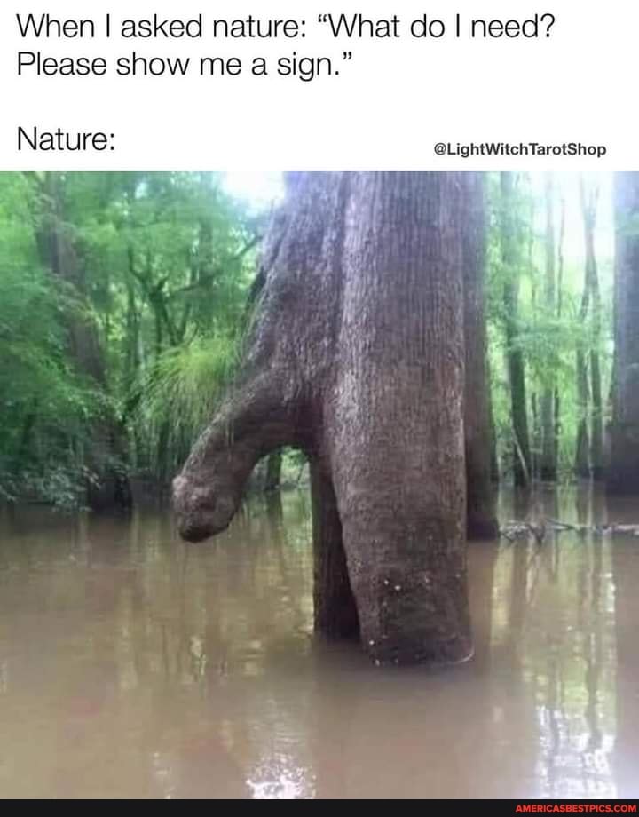 When I asked nature: "What do I need?
Please show me a sign."
Nature: