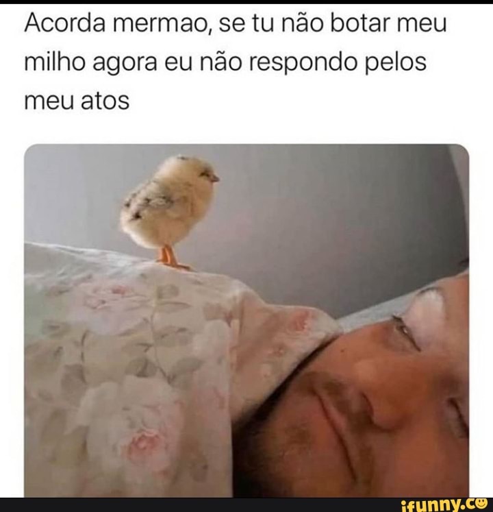 Acorda mermao, se tu não botar meu
milho agora eu não respondo pelos
meu atos