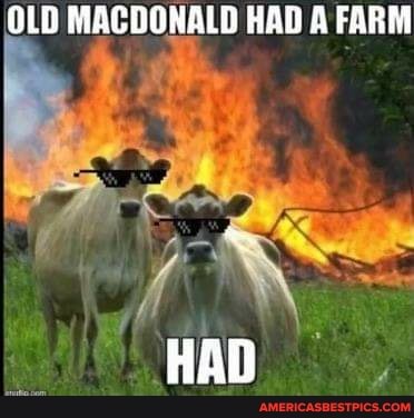 OLD MACDONALD HAD A FARM
HAD