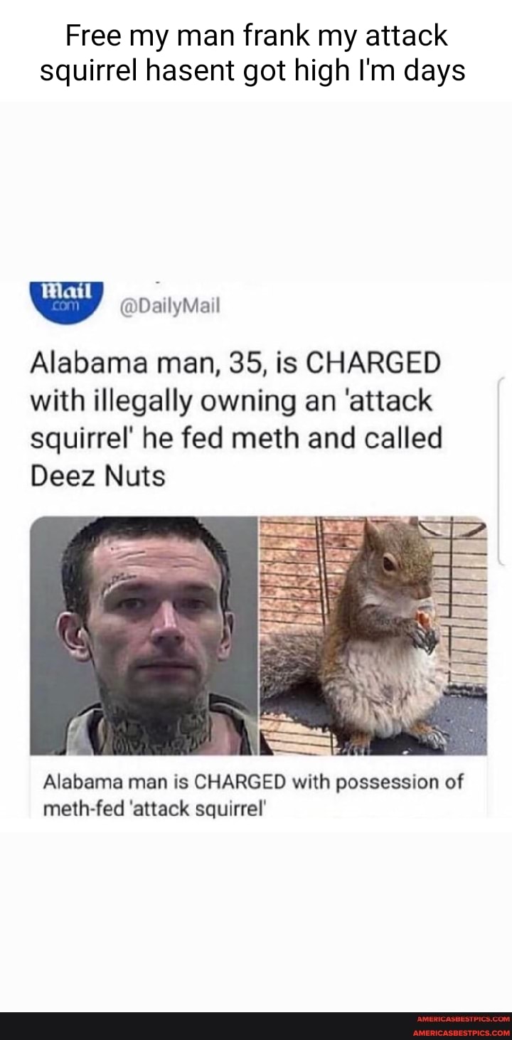 Free My Man Frank My Attack Squirrel Hasent Got High I M Days Datlymail Alabama Man