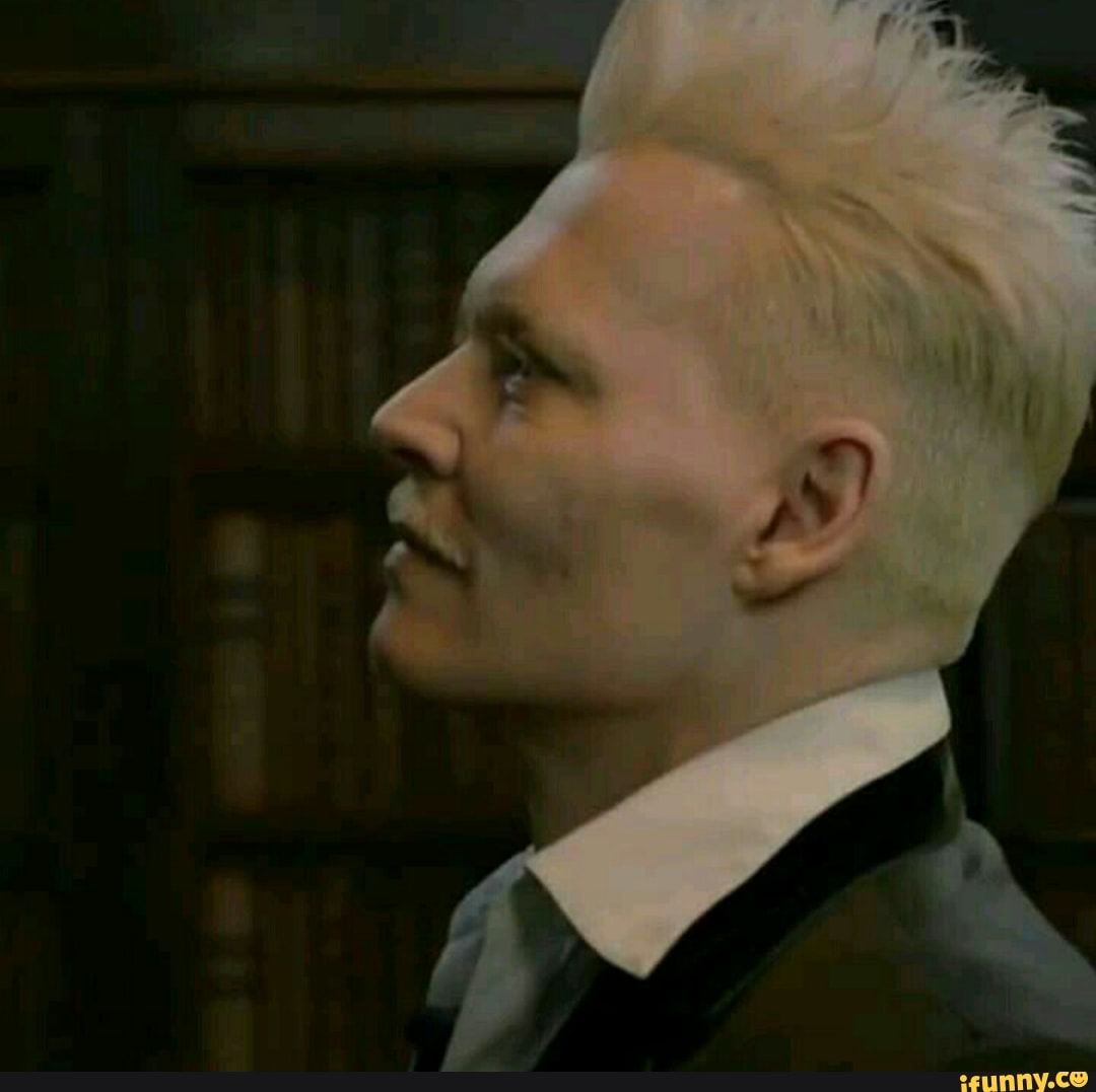 #gilbertgrindelwald 