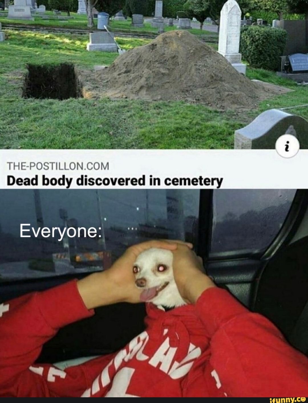 Dead body discovered in cemetery
THE
Everyone: