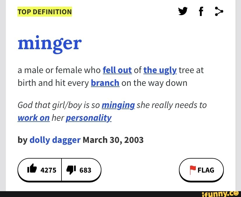 TOP DEFINITION minger a male or female who fell out of the ugly tree at