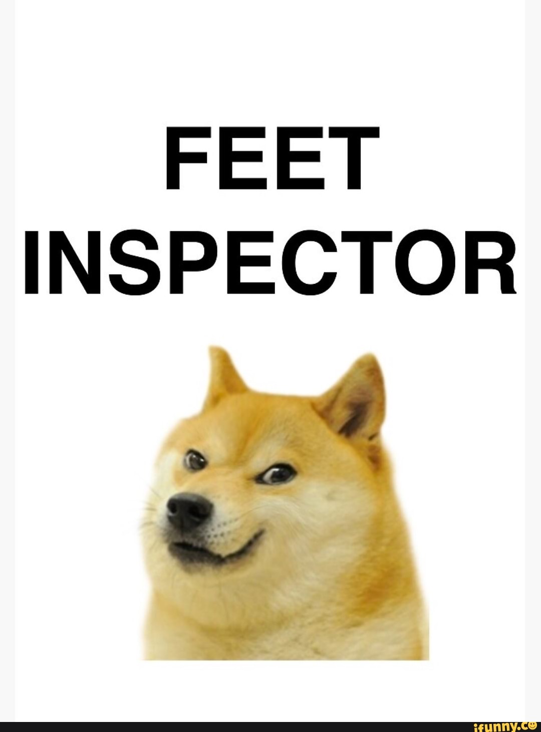 Doge feet meme