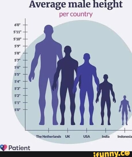 Sui Average male height per country 'TheNetherlands UK USA India  _Indonesia @ Patient - iFunny