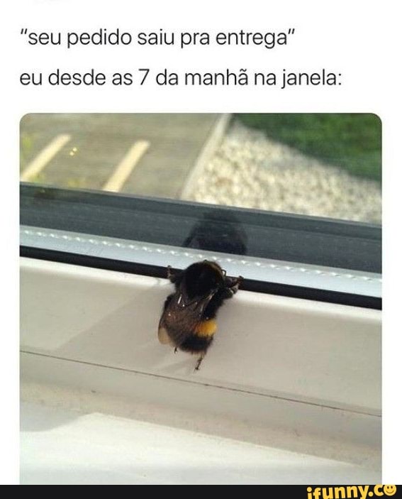 "seu pedido saiu pra entrega"
eu desde as 7 da manhã na janela:
