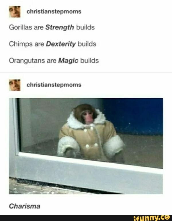 E christianstepmoms
Gorillas are Strength builds
Chimps are Dexterity builds
Orangutans are Magic builds
"y christianstepmoms