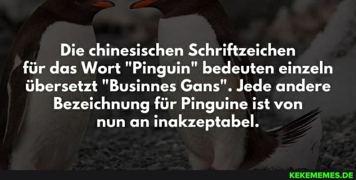 Die chinesischen Schriftzeichen für das Wort "Pinguin" bedeuten einzeln übersetzt "Businnes Gans". Jede andere
Bezeichnung für Pinguine ist von nun an inakzeptabel.