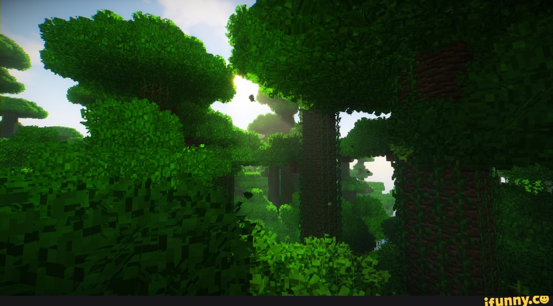 Shaders memes. Best Collection of funny Shaders pictures on iFunny