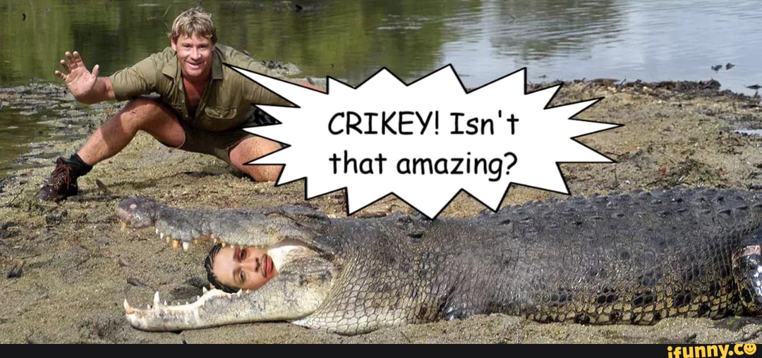 Steve Irwin Being Steve Irwin - Crikey! Isn't That Amazing? - Ifunny