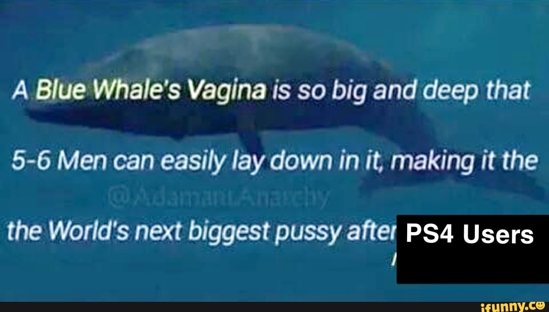 Blue Whale Vagina