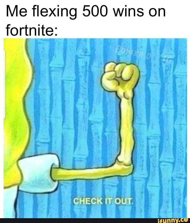 Me flexing 500 wins on fortnite: CHECK IT OUT. - iFunny