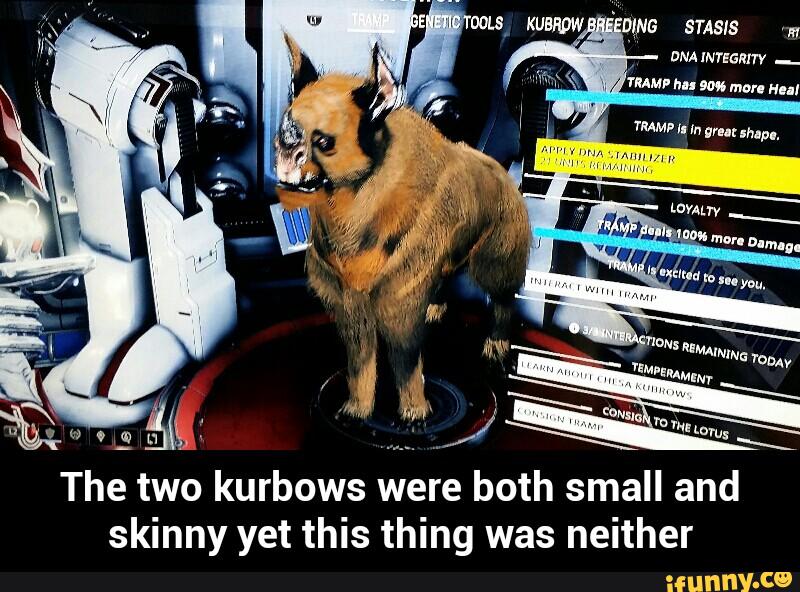 The two kurbows were both small and
skinny yet this thing was neither - The two kurbows were both small and skinny yet this thing was neither