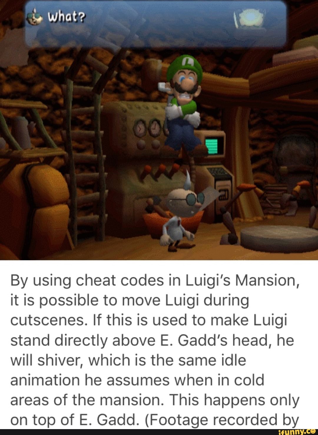 By Using Cheat Codes In Luigi S Mansion It Is Possible To Move Luigi During Cutscenes If