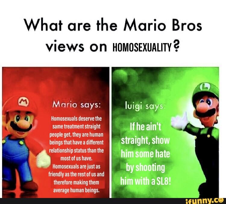 bros is it gay meme