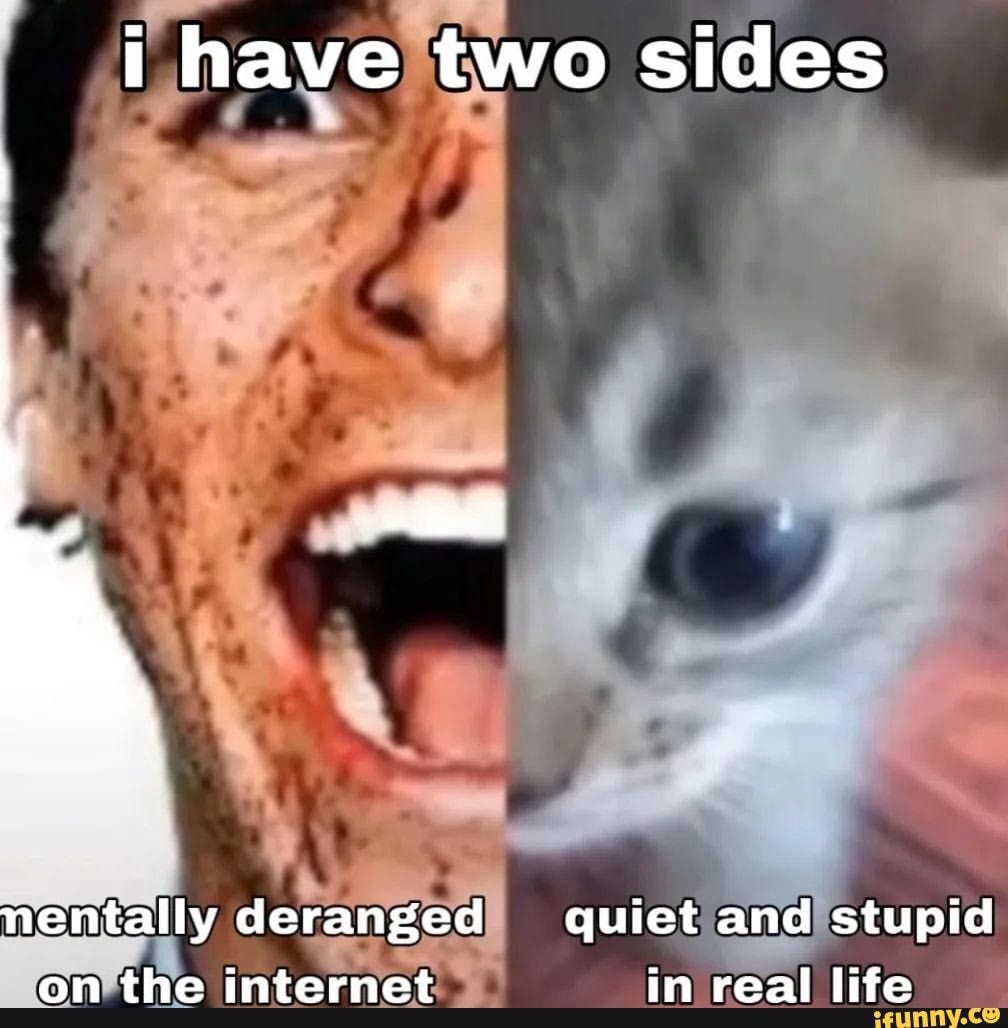 I have two sides nentally deranged quiet and stupid on the internet in real  life - )