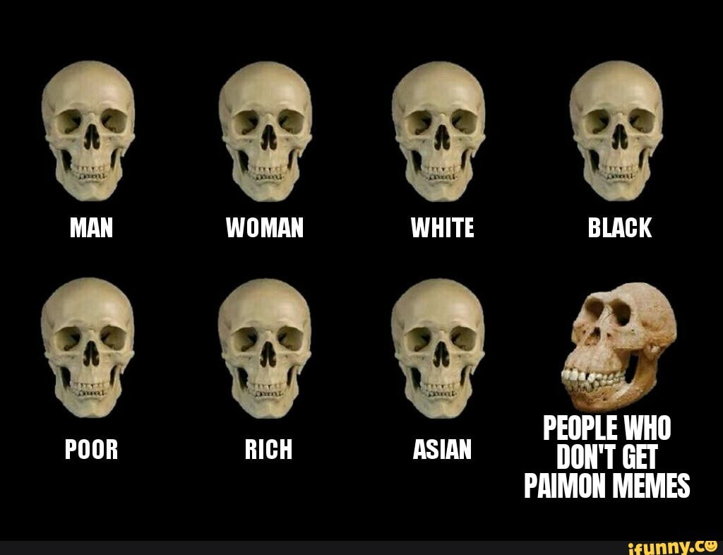 Man Woman White Black Poor Rich Asian Paimon Memes