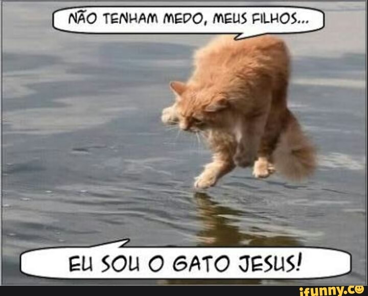 EU SOU O GATO JESUS!