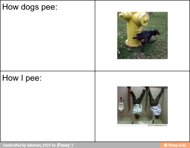 How dogs pee:
How I pee: