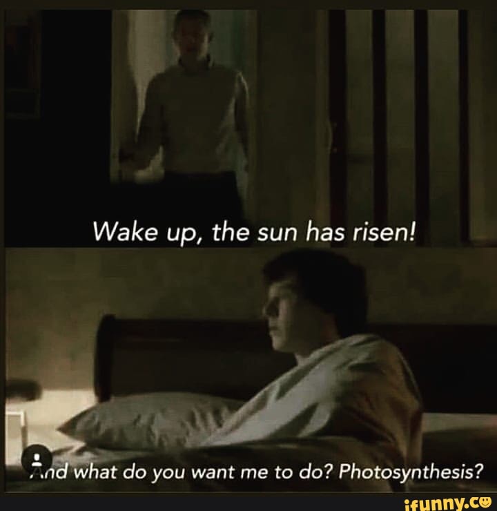 Wake up, the sun has risen! ai do you want me to do? Photosynthesis