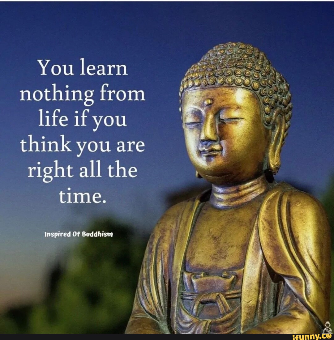 You learn nothing from life if you think you are right all the time ...