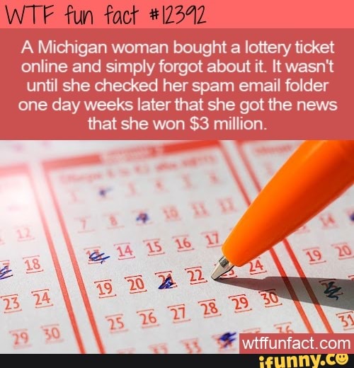 fun-fact-a-michigan-woman-bought-a-lottery-ticket-online-and-simply-forgot-about-it-it-wasn-t