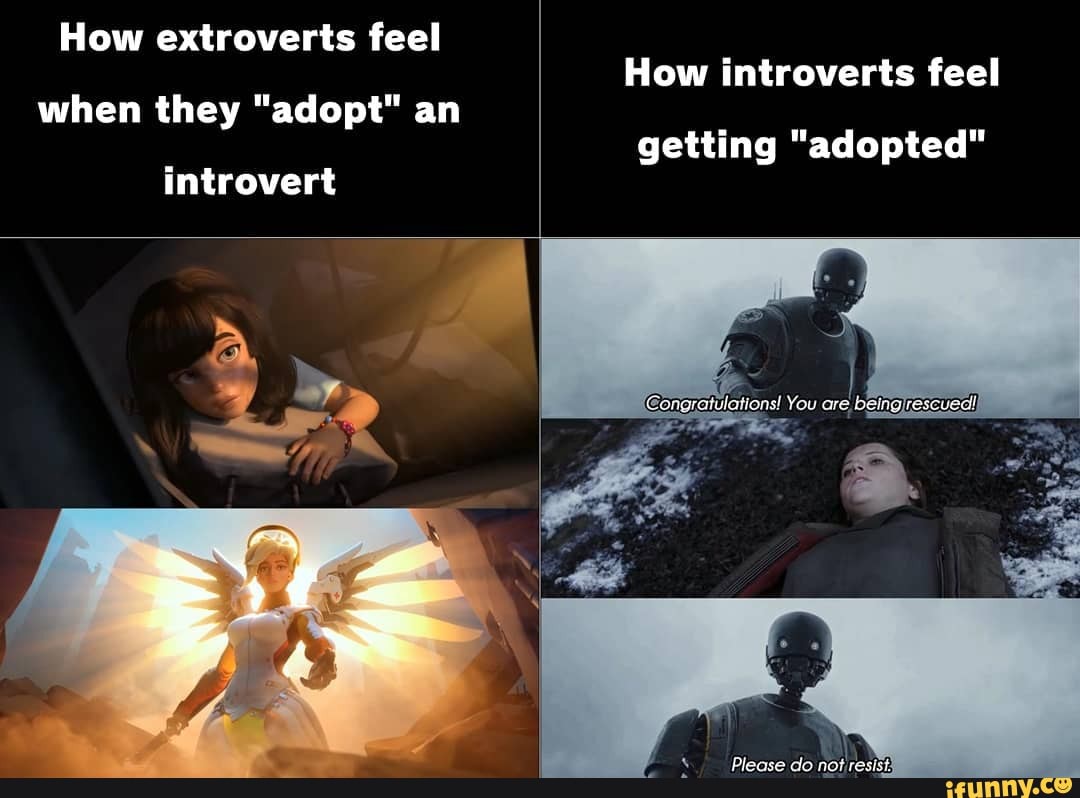 When you got me feeling. Introverts and extroverts. Introvert memes. Adopt an Introvert. Интроверт 80 уровня.