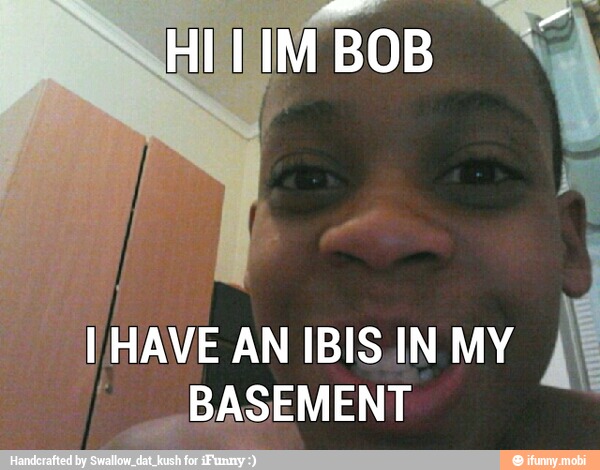 I
HAVE AN IBIS IN MY
À
BASEMENT